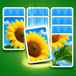 Ícone de Jigdrop Match-Solitaire Puzzle
